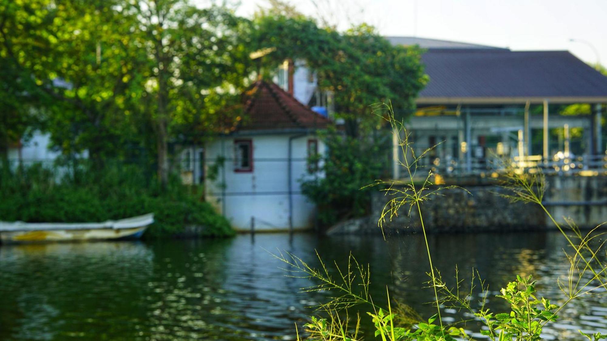 Lake Island Home Stay Dambulla Buitenkant foto